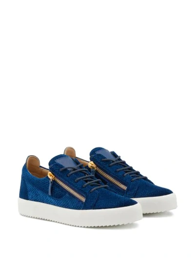 Shop Giuseppe Zanotti Frankie Velvet Sneakers In Blue