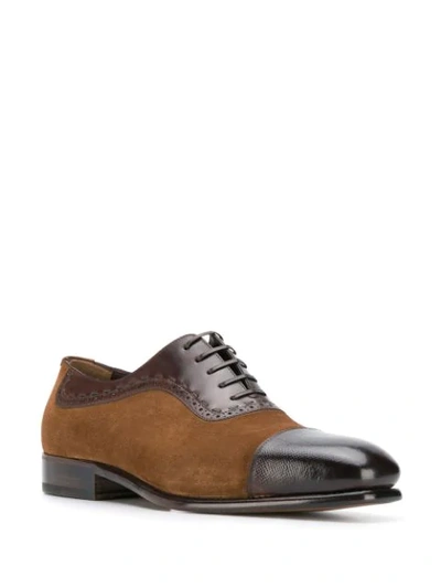 Shop Ferragamo Ankara Brogues In Brown