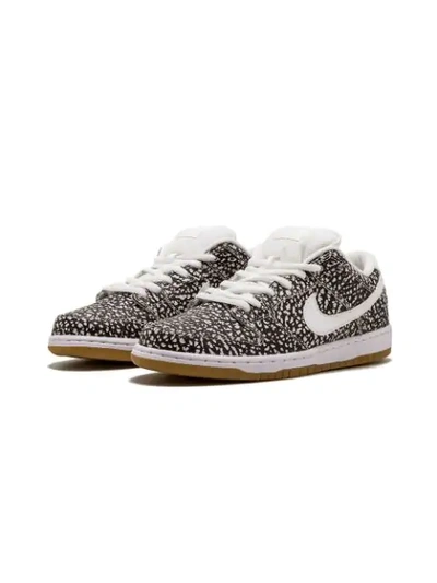 Shop Nike Dunk Low Premium Sb Sneakers In White