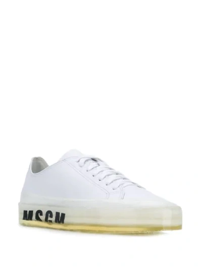 Shop Msgm Low Top Logo Sneakers In White