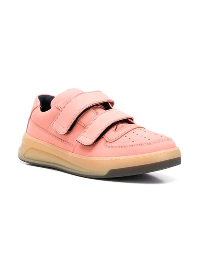 Shop Acne Studios Perey Touch Strap Sneakers In Pink