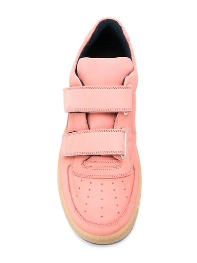 Shop Acne Studios Perey Touch Strap Sneakers In Pink