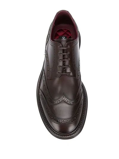 Shop Dolce & Gabbana Classic Brogues In Brown