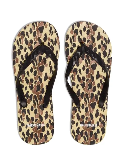 Shop Wacko Maria Leopard Print Flipflops In Brown