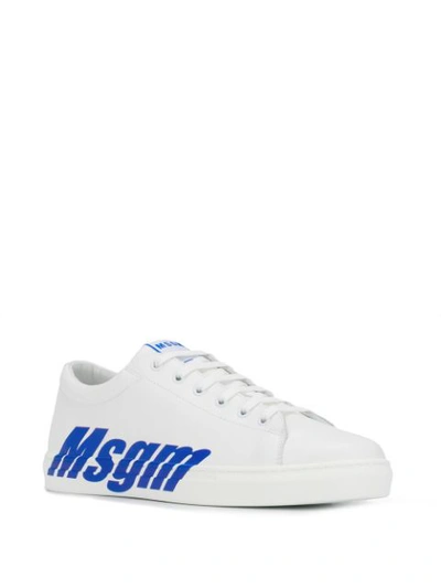 Shop Msgm Contrast Logo Sneakers In 83 White/ Blue