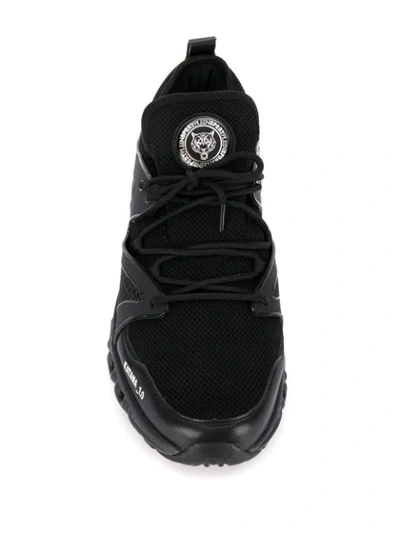 Shop Plein Sport Tiger Patch Sneakers In 02 Black