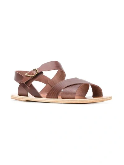 Shop Ancient Greek Sandals Socrate Sandals In Brown