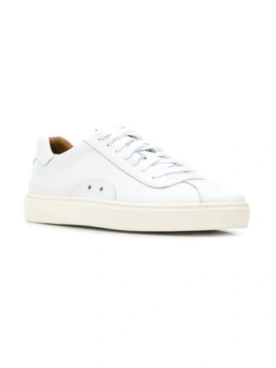 Shop Polo Ralph Lauren Court 100 Sneakers In White