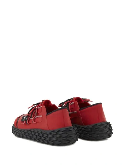 Shop Giuseppe Zanotti Urchin Sneakers In Red