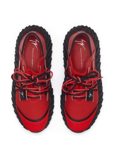 Shop Giuseppe Zanotti Urchin Sneakers In Red