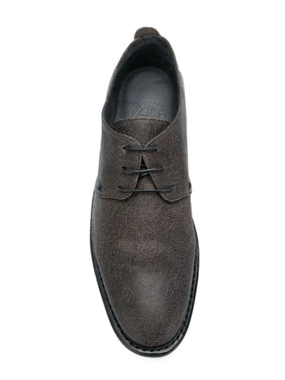 Shop Fiorentini + Baker Smile Derby Shoes In Brown
