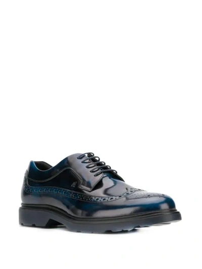 Shop Hogan Lace-up Brogues In Blue