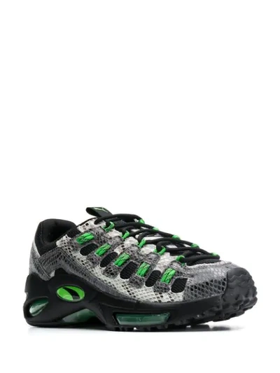 Shop Puma Cell Endura Animal Kingdom Sneakers In Black