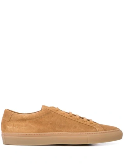 Shop Common Projects Sneakers Mit Schnürung In Neutrals