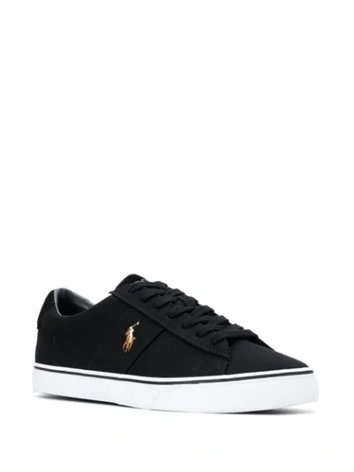 Shop Polo Ralph Lauren Embroidered Pony Sneakers In Black