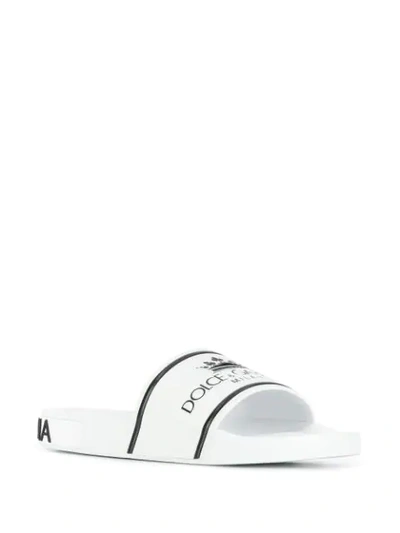 Shop Dolce & Gabbana Logo Printed Slippers In White