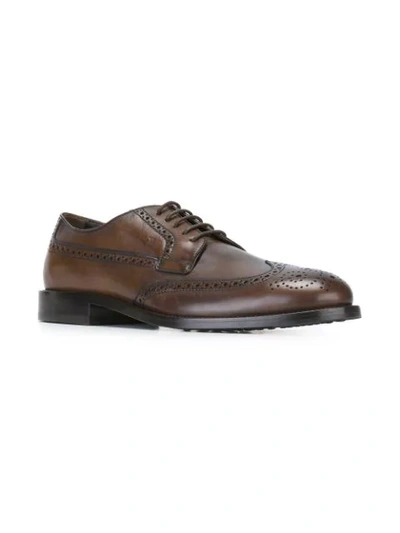 Tod's Classic Brogue Shoes In Brown