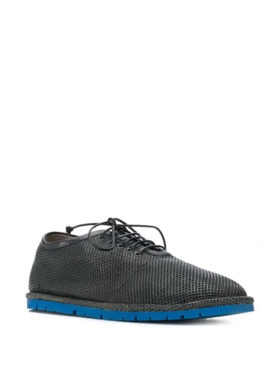 Shop Marsèll Lace-up Shoes In Foratonero