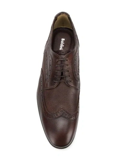 Shop Baldinini Embroidered Derby Shoes In Brown