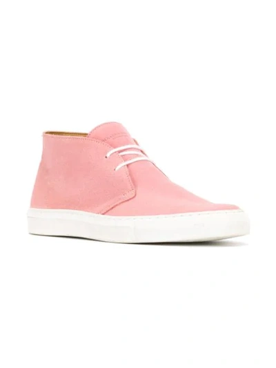 Shop Holland & Holland Chukka Boots In Pink