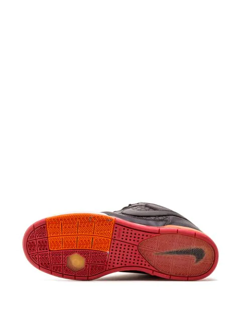nike sb fuji rod