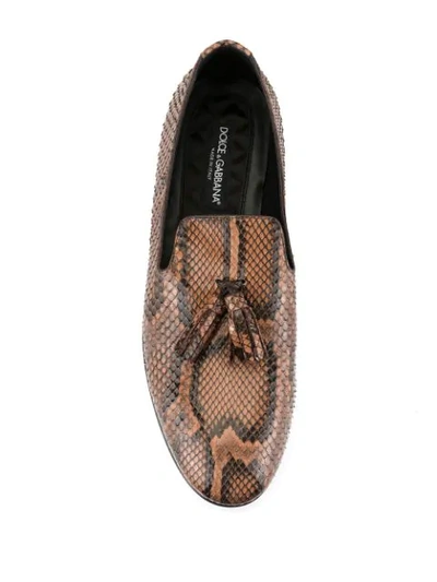 Shop Dolce & Gabbana Snake Effect Tassel Loafers In Brown