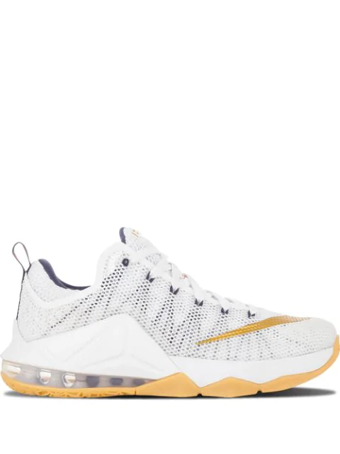 lebron 12 low top