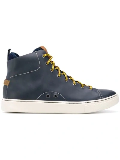 Shop Polo Ralph Lauren Contrasting Lace Sneakers In Blue