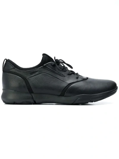 Shop Geox U Nebula Sneakers In Black