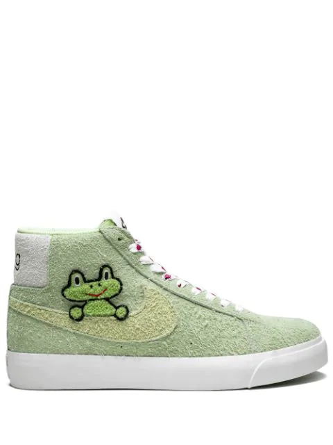 frog sb