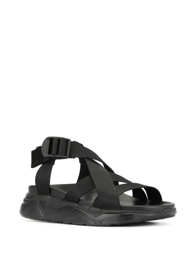 Shop Msgm Buckle Strap Sandals In Black