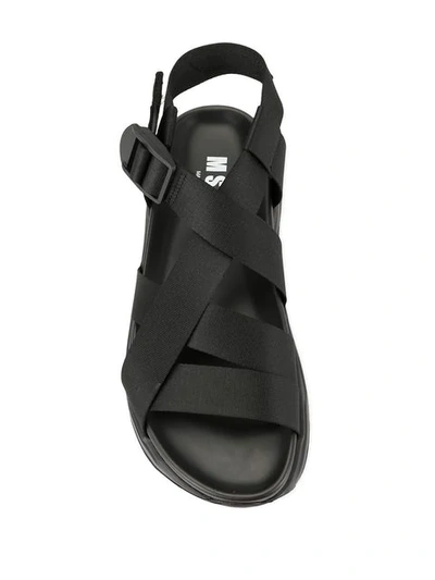 Shop Msgm Buckle Strap Sandals In Black