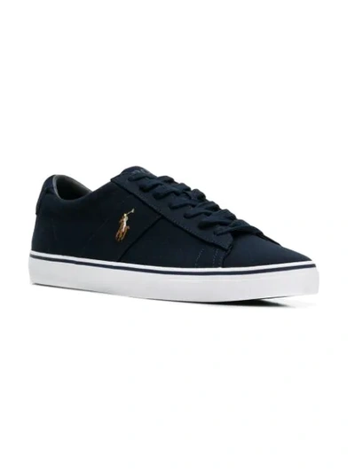 Shop Polo Ralph Lauren Bear Lace-up Sneakers In Blue