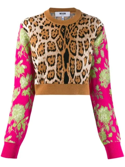 Shop Msgm Cropped Multi Print Sweater In 25 Multicolor
