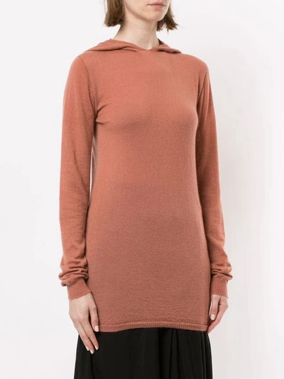 Shop Rick Owens Klassischer Kapuzenpullover - Braun In Brown