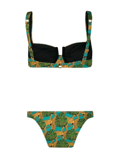 Shop Reina Olga Jungle Fever-print Bikini - Green
