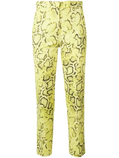 Shop Pinko Snakeskin Print Trousers In Yellow