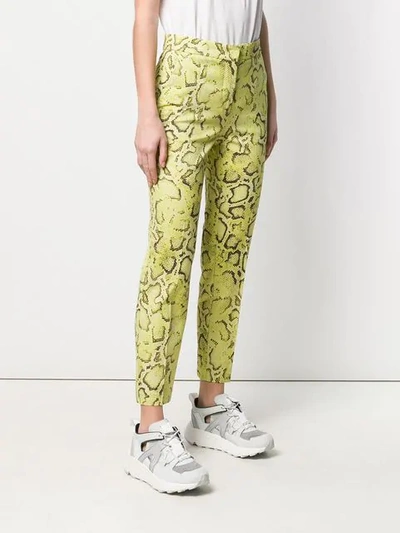 Shop Pinko Snakeskin Print Trousers In Yellow