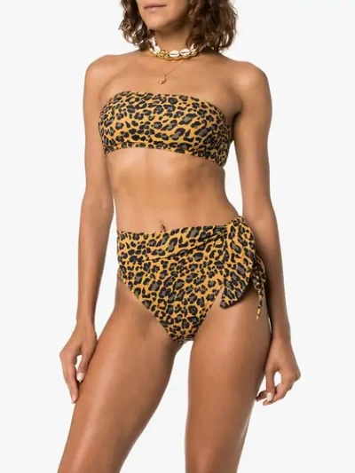 Shop Zimmermann Leopard Print Bandeau Bikini In Brown