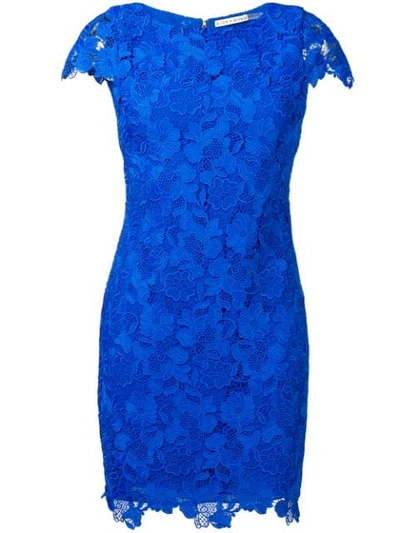 Shop Alice And Olivia Floral Lace Short Dress In Blue