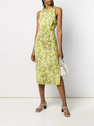 Shop Pinko Snakeskin Print Midi Dress - Farfetch In Hl1 Giallo Marrone