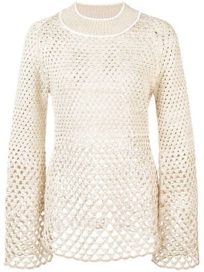 Shop Proenza Schouler Open-knit Top In Metallic