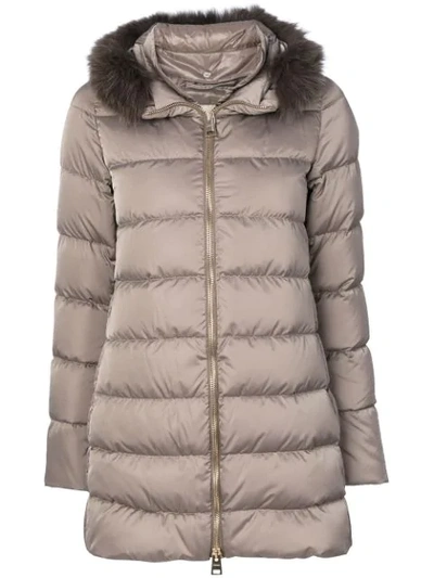 Shop Herno Detachable Fur Collar Puffer Jacket In Neutrals
