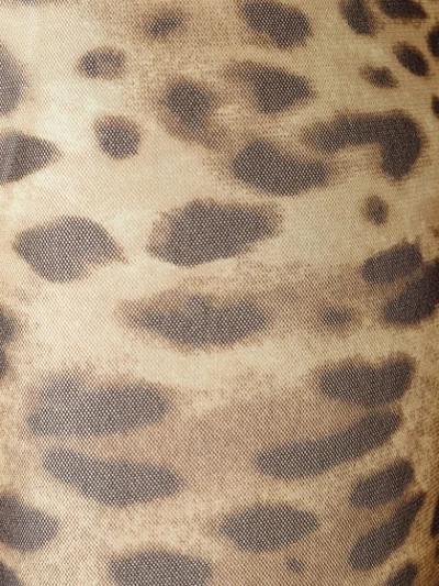 Shop Dolce & Gabbana Leopard Print Tights In Neutrals