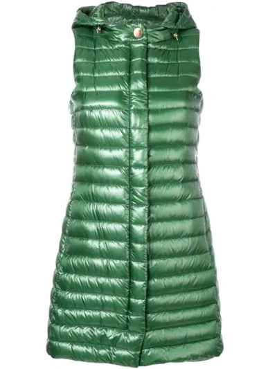 Shop Herno Hooded Zipped Gilet In Green