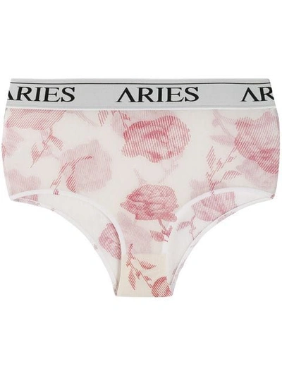 Shop Aries Rose Pattern Briefs In Cream