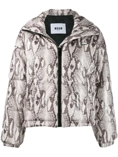 Shop Msgm Snakeskin Print Puffer Jacket In Neutrals