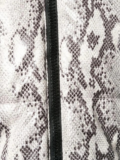 Shop Msgm Snakeskin Print Puffer Jacket In Neutrals