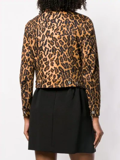 Shop Miu Miu Leopard Denim Jacket In Brown