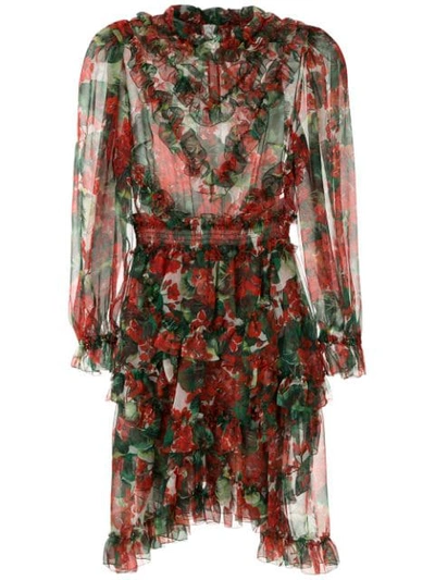 Shop Dolce & Gabbana Hydrangea Ruffled Sheer Dress In Red